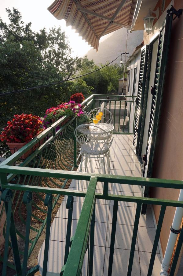 House Terezija Holiday home