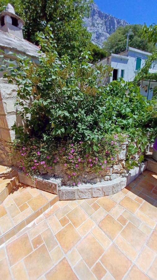 House Terezija Holiday home *