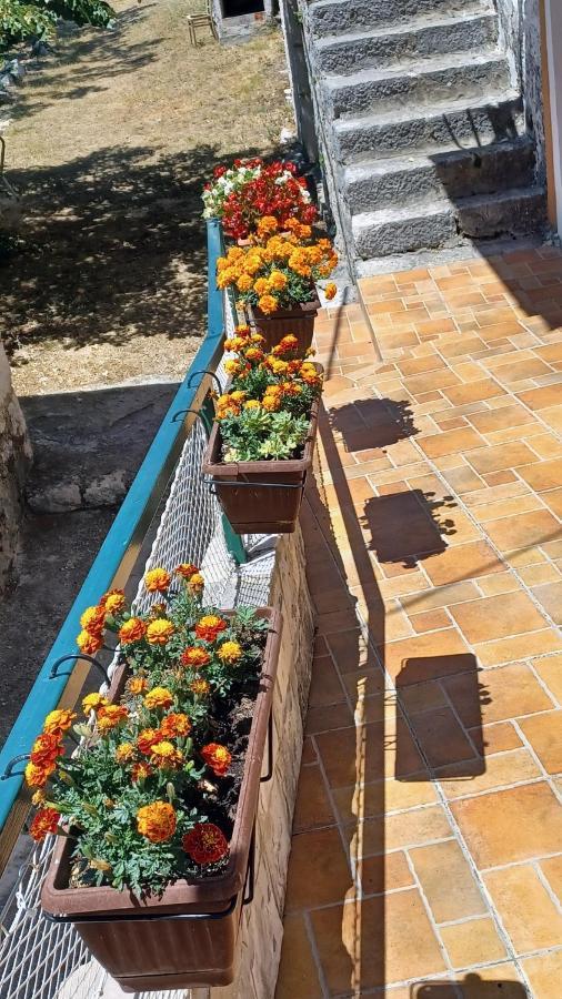 House Terezija Holiday home *